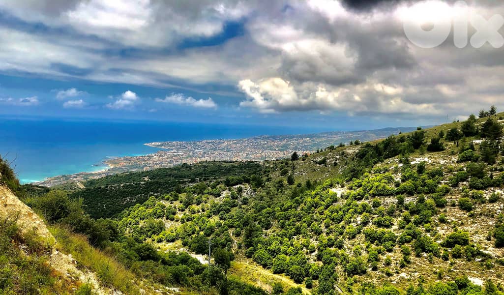 7366 SQM Land in Halat, Byblos with Open Sea View ( Non Obstructive) 0