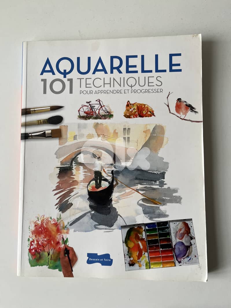 Aquarelle 101 Techniques / Dessain et Tolra 0