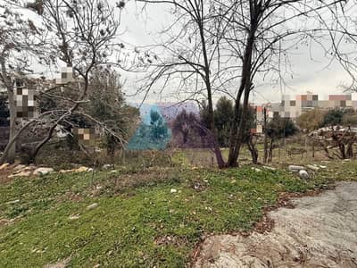 750m2 Prime Land 4sale in Klayaat - أرض للبيع في القليعات