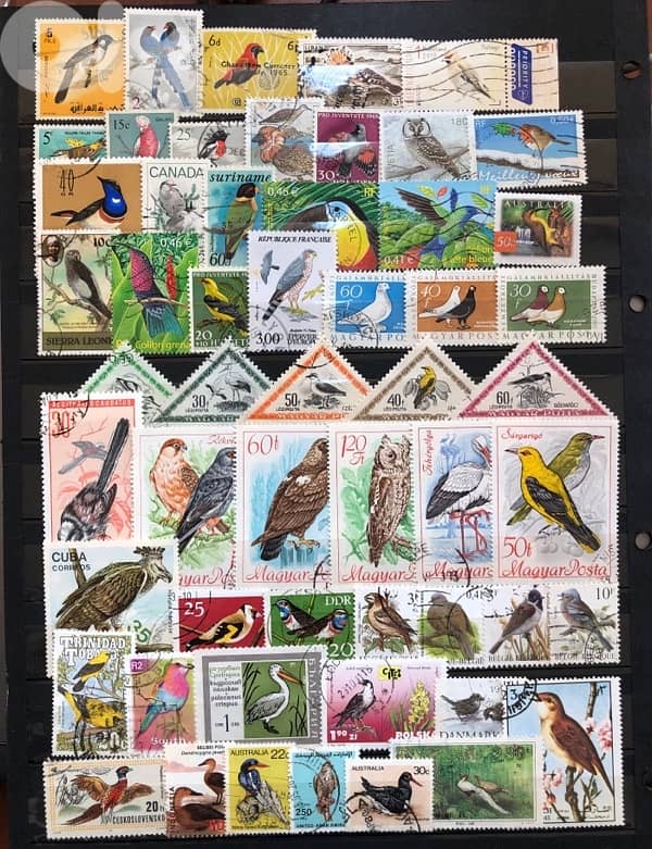 Birds stamps 0