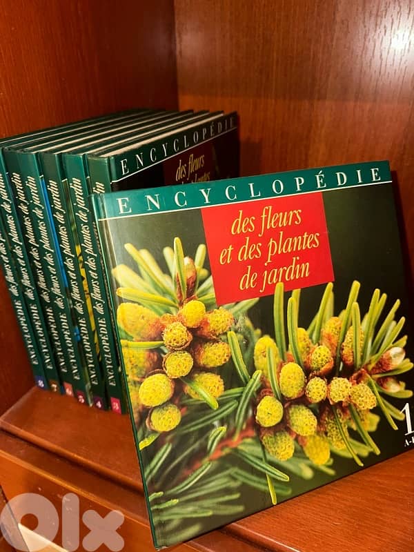 encyclopedia 1