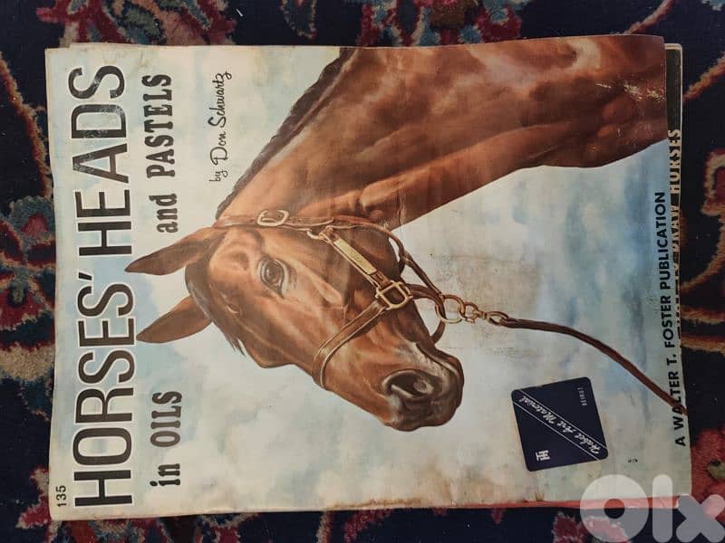 horses magazines,horses,big size,wonderful pictures and paintings 3