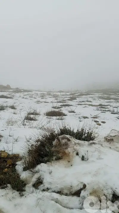 أرض للبيع في عين داره land for sale in Ayn dara aley