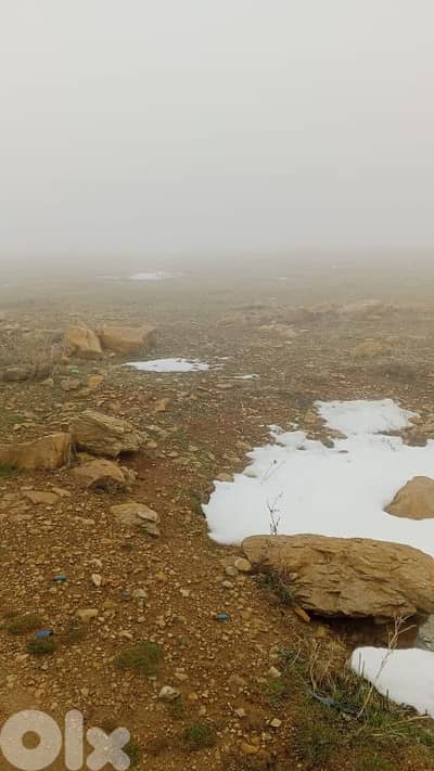 أرض للبيع في عين داره عاليه land for sale in aley