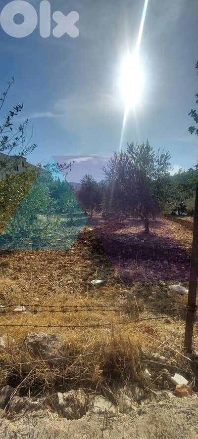 Prime 2235 m2 land 4 sale in Kfarsaroun - Koura - أرض للبيع في الكورة