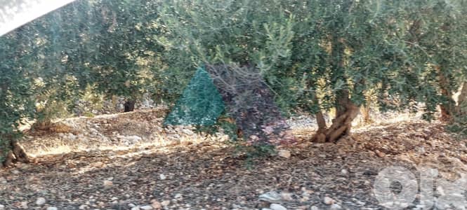 Prime 2235 m2 land 4 sale in Kfarsaroun - Koura - أرض للبيع في الكورة