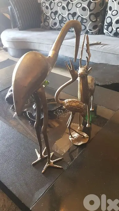 ثلاث اصدقاء لا يقل وزنهم عن 5kg