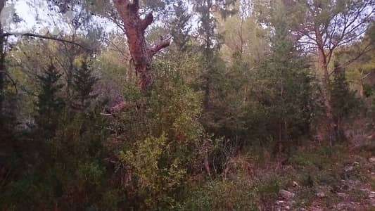 lands for sale in Hardin أرض للبيع في حردين