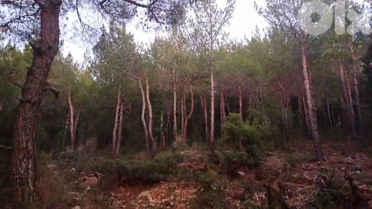 lands for sale in Hardin أرض للبيع في حردين