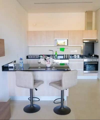 fully furnished one bedroom apartment with terrace for rent waterfront