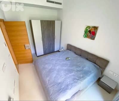 fully furnished one bedroom apartment with terrace for rent waterfront