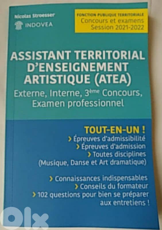 ASSISTANT TERRITORIAL D'ENSEIGNEMENT ARTISTIQUE (ATEA 0