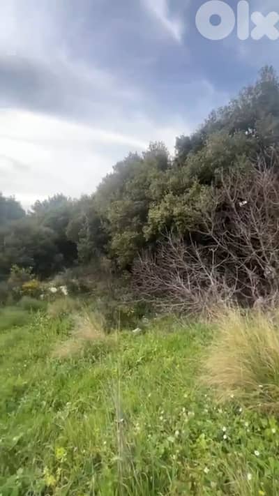 Land for sale in Toula, Batroun أرض للبيع في تولا، البترون