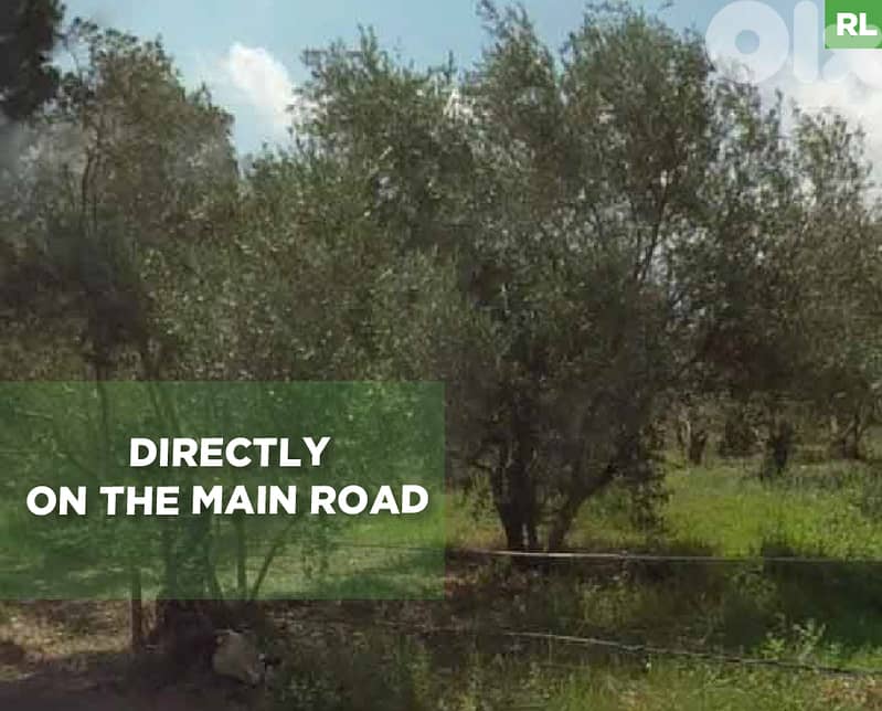 Directly on the Main Road, prime area, barsa, koura/كورة REF#RL131869 0