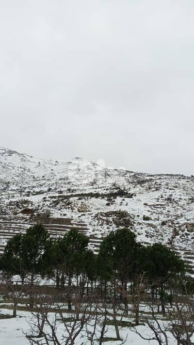 أرض البيع في عين داره عاليه land for sale in ain dara aley