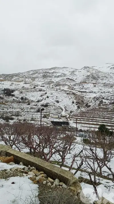 أرض البيع في عين داره عاليه land for sale in ain dara aley