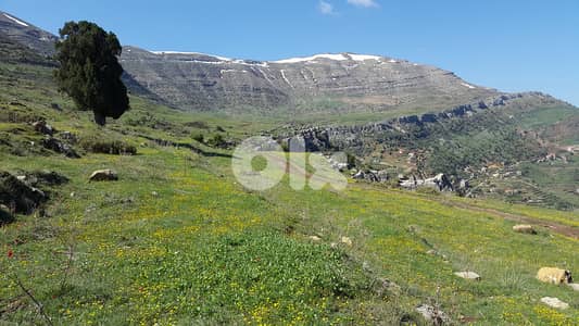 Senic LAND For SALE in Faqra أرض في فقرا Senic LAND For SALE in Faqra أرض في فقرا