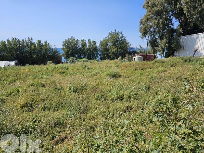 RWB571EA - Land for rent in Halat Jbeil 0