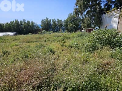 RWB571EA - Land for rent in Halat Jbeil