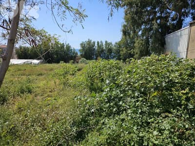 RWB571EA - Land for rent in Halat Jbeil