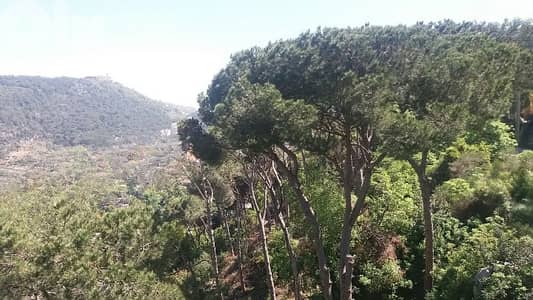 Furnished Apartment for Rent in Broumana