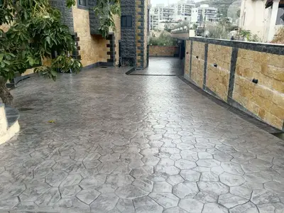 70065370