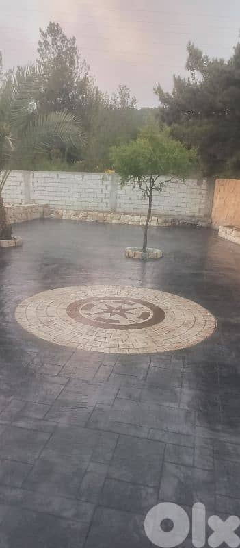 70065370 1