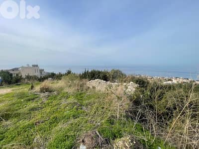 Perfect catch : 9000 sqm in bouar for sale ( call for the investors)