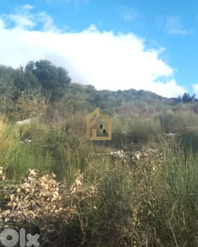 Land for sale in Toula Batroun AAM47 أرض  للبيع في تولا البترون