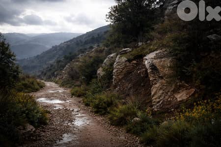 Land For sale in Kherbe Jbeil - CPES248
