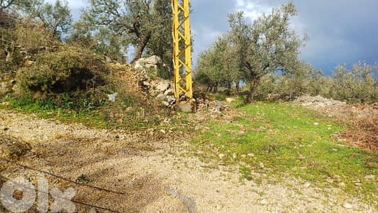lands for sale in Mejdel-koura أرض رائعة الجمال في مجدل الكورة