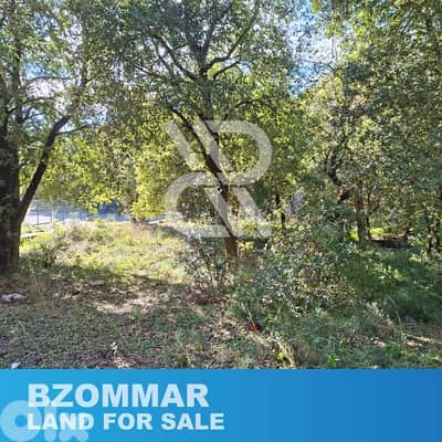 Land for sale in Bzommar (old house) - (أرض للبيع في بزمار (بيت قديم