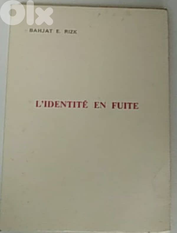 L'identité en fuite 0
