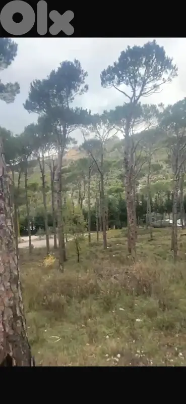 860m land zone 10/20 Two floors Qornayel Hammana Ras Metn