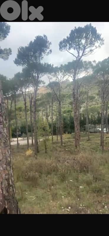 860m land zone 10/20 Two floors Qornayel Hammana Ras Metn 0