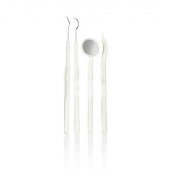 nevadent dental polishing kit 3