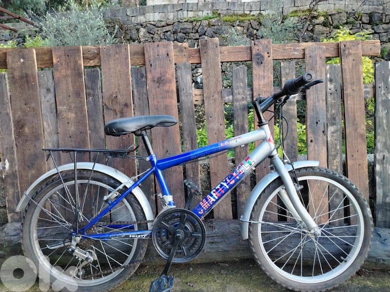 bicycle 20 0