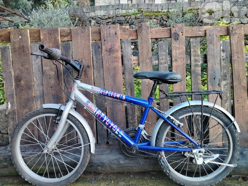 bicycle 20 1