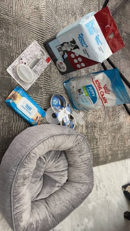 Puppy Care Package 0