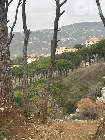Two lands 850m&950m zone 30/90 four floor building Badghan Sawfar