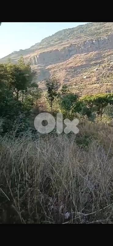 9000m Land agriculture or Touristic use Sharoon Valley Below Sawfar 1