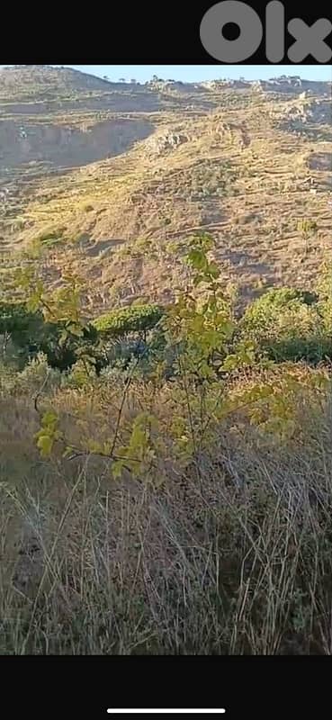 9000m Land agriculture or Touristic use Sharoon Valley Below Sawfar 2