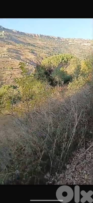 9000m Land agriculture or Touristic use Sharoon Valley Below Sawfar