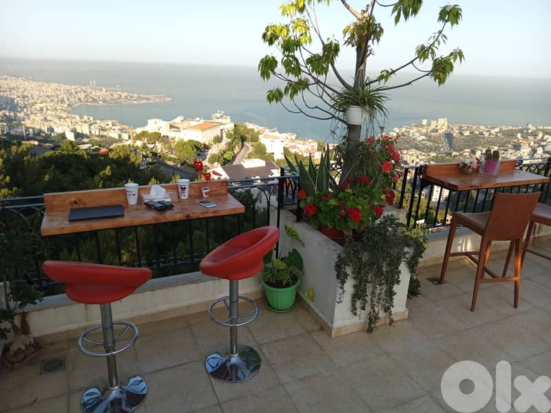 Arcadia guesthouse "Adonis" in Ghazir 11