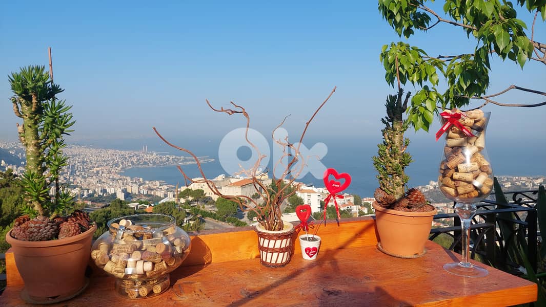 Arcadia guesthouse "Adonis" in Ghazir 15
