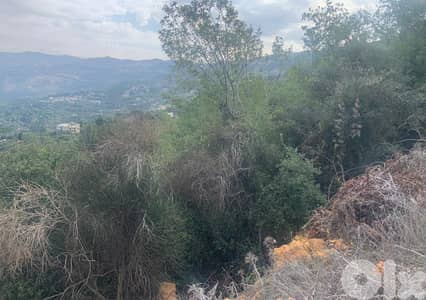 أرض للبيع في العبادية Land for sale in Abadiyeh