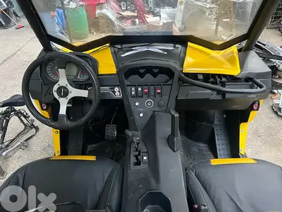 buggy can-am