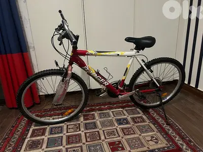 Bicycle, Badger Strike 24