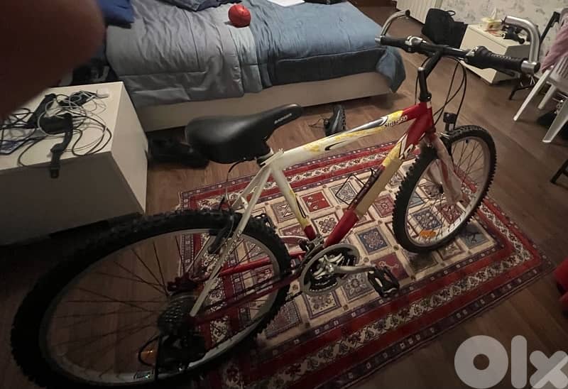 Bicycle, Badger Strike 24 1