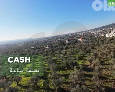 LAND/مصنفة صناعية/Kefraya, ZGHARTA/كفرَيّا ! REF#YN132215 !